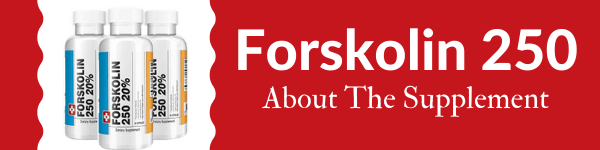 what is forskolin extract